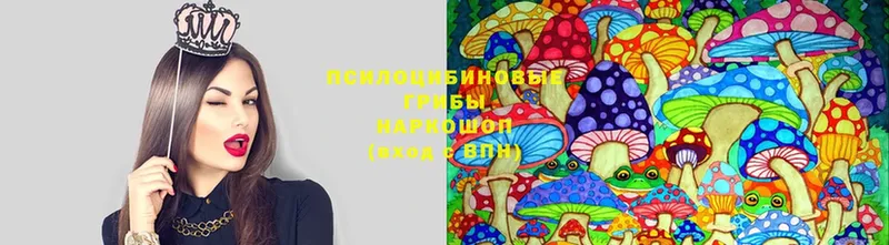 Галлюциногенные грибы Magic Shrooms  Пионерский 